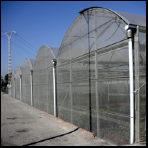 Sere folie cu acoperis semicircular 